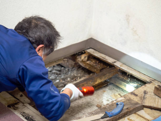Best Water Damage Restoration  in Crescent City, CA