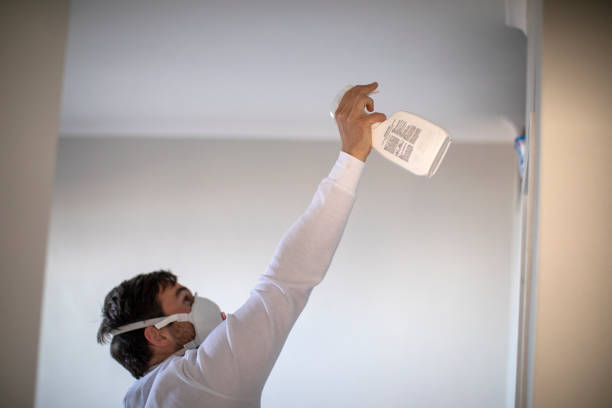Office Mold Removal Services in Crescent City, CA