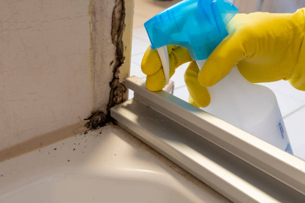 Best Commercial Mold Removal  in Crescent City, CA