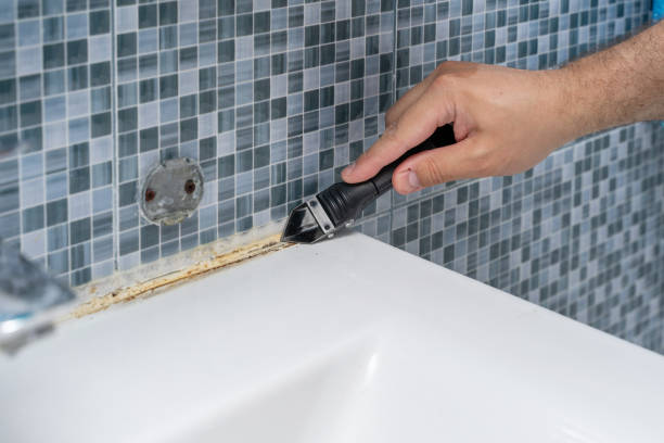  Crescent City, CA Mold Removal Pros