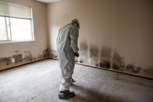 Best Crawl Space Mold Removal  in Crescent City, CA