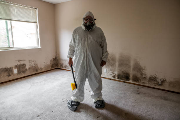 Trusted Crescent City, CA Mold Removal Experts